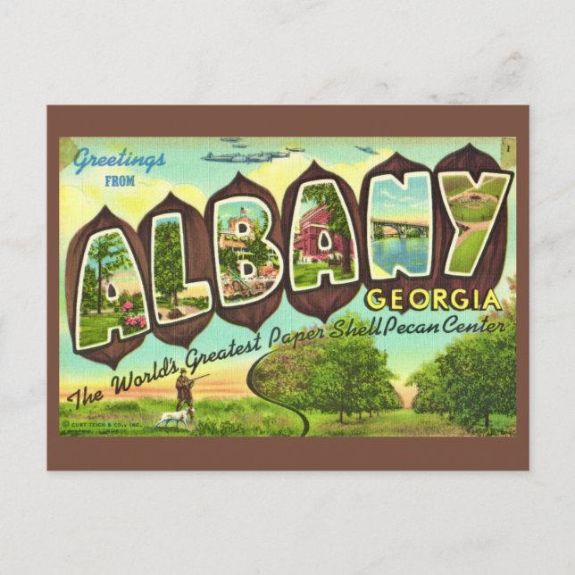 Albany Georgia Vintage Postcard (Front)