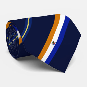 Albany (New York) city flag Neck Tie