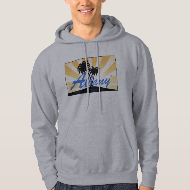 Albany (not that one...) hoodie (Front)