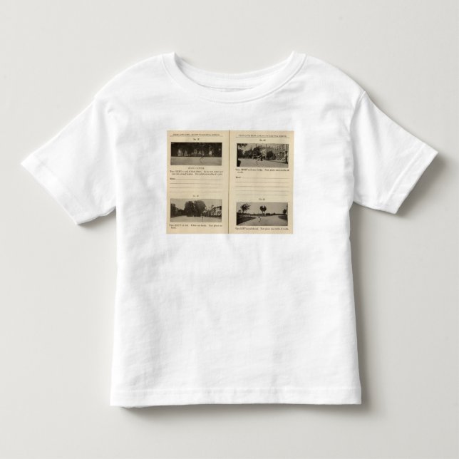 Albany, NY Toddler T-Shirt (Front)