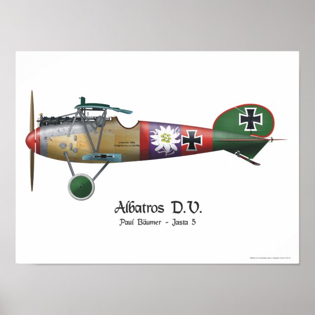 Albatros D.V. ww1 German Fighter Plane Bäumer Poster (Front)