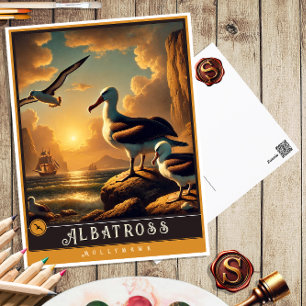 Albatross Cute Family Vintage Animal Postcard