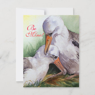 Albatrosses in Love Valentine Day Card