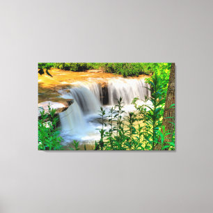 Albert Falls, West Virginia Canvas Print