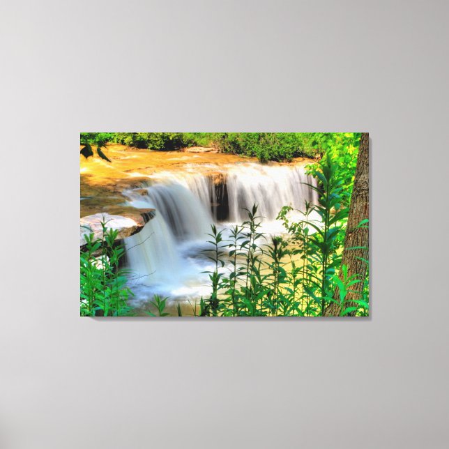 Albert Falls, West Virginia Canvas Print (Front)