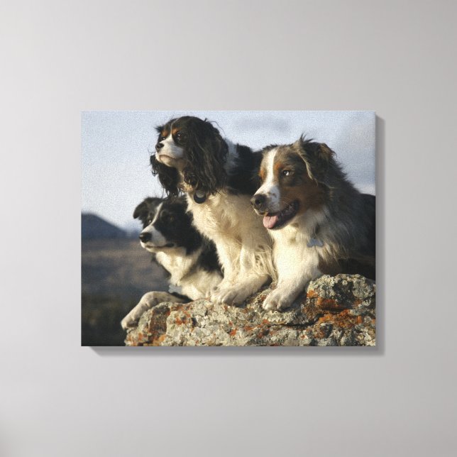 Alberta, Canada 2 Canvas Print (Front)
