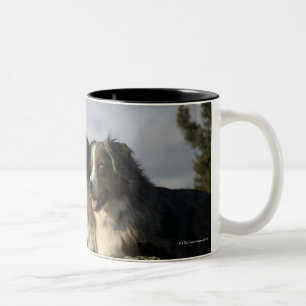 Alberta, Canada 2 Two-Tone Coffee Mug