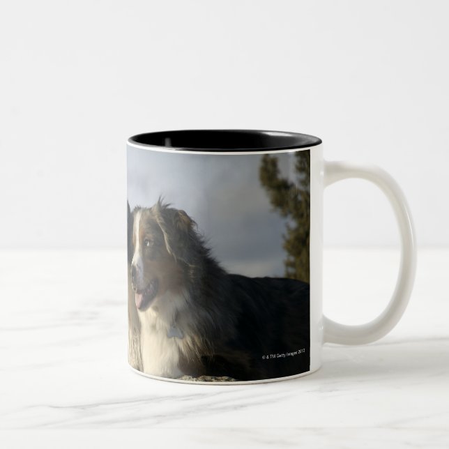 Alberta, Canada 2 Two-Tone Coffee Mug (Right)