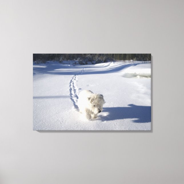 Alberta, Canada Canvas Print (Front)