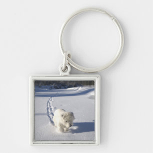Alberta, Canada Key Ring