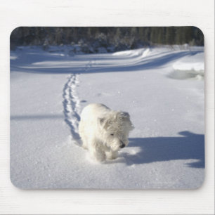 Alberta, Canada Mouse Pad