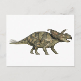 Albertaceratops Dinosaur in Side Profile Postcard