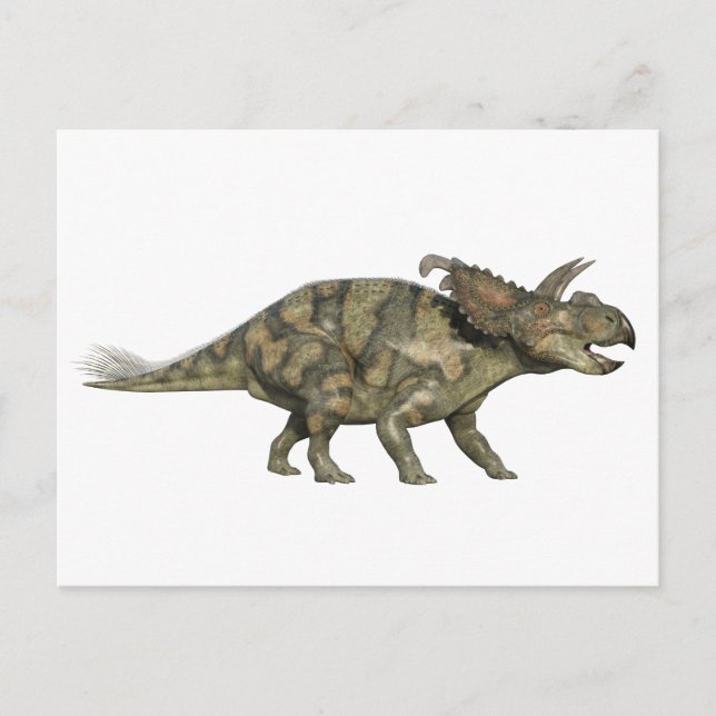 Albertaceratops Dinosaur in Side Profile Postcard (Front)