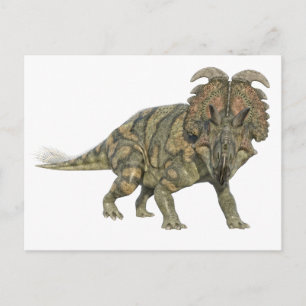 Albertaceratops Dinosaur Looking to the Front Postcard