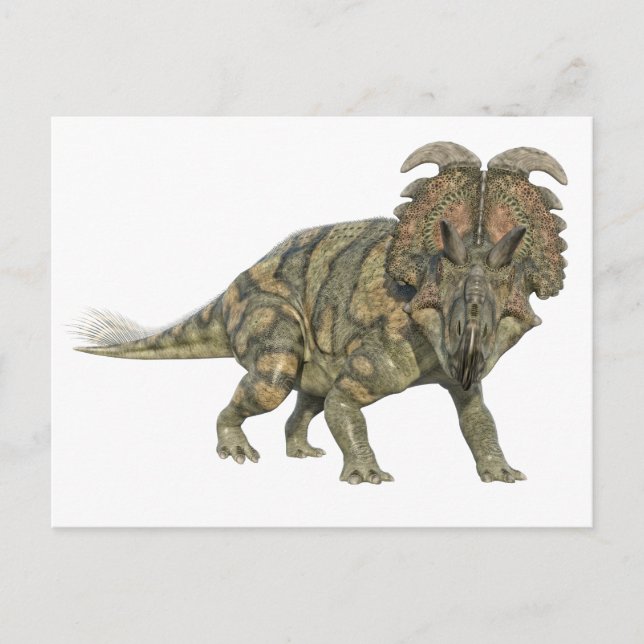 Albertaceratops Dinosaur Looking to the Front Postcard (Front)