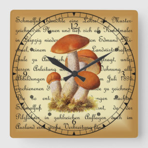 Albin Schmalfuß ~ Espenrotkappe1~ Mushrooms Square Wall Clock