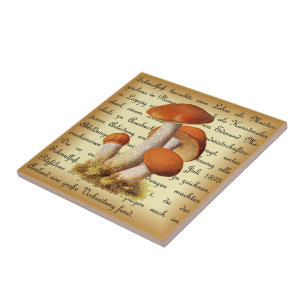 Albin Schmalfuß~Espenrotkappe1~ Mushrooms ~ Tile