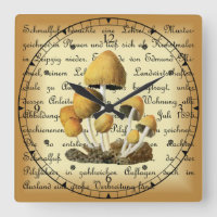 Albin Schmalfuß ~ Glimmertintling-1~ Mushrooms ~