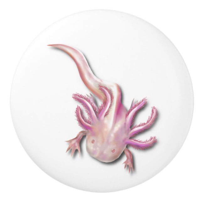 Albino Axolotl "Walking Fish" Art Ceramic Knob (Front)