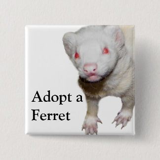 Albino Ferret Picture 15 Cm Square Badge