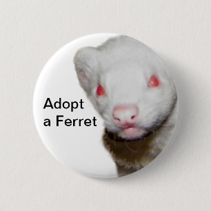 Albino Ferret Picture 6 Cm Round Badge