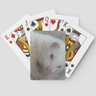 Albino Ferret Picture Playing Cards