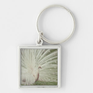 Albino peacock key ring