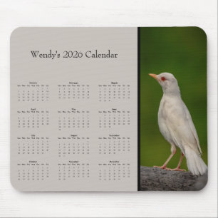 Albino Robin: Customize full year 2025 calendar Mouse Pad