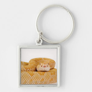 Albino Western diamondback rattlesnake (Crotalus A Key Ring
