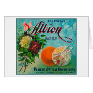 Albion Brand Citrus Crate Label