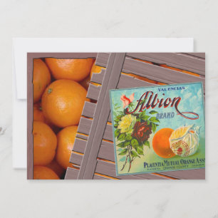 Albion Oranges Fruit Crate Label Invitation