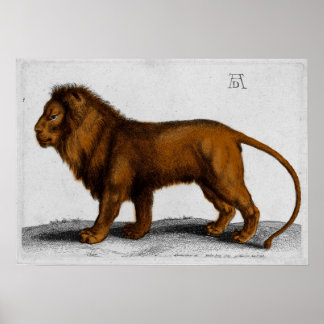 Albrecht Durer Colour Engraving Lion Poster