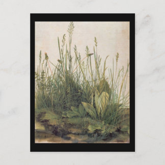 Albrecht Durer Great Piece of Turf Postcard