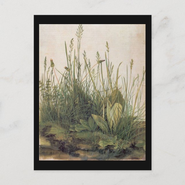 Albrecht Durer Great Piece of Turf Postcard (Front)