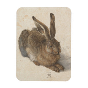 Albrecht Dürer - Hare Magnet