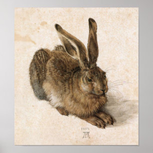 Albrecht Dürer - Junger Hase (Young Hare), 1502 Poster