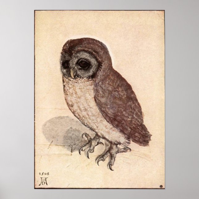 Albrecht Durer Little Owl Poster (Front)