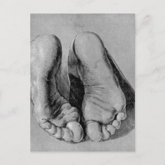 Albrecht Durer Sketch Postcard