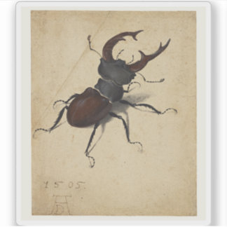 Albrecht Dürer - Stag Beetle