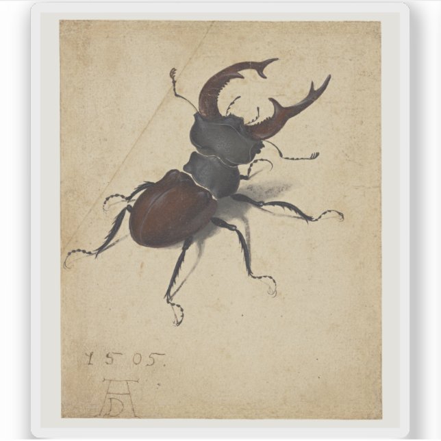Albrecht Dürer - Stag Beetle (Front)