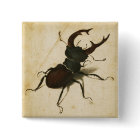 Albrecht Durer Stag Beetle Renaissance Vintage Art