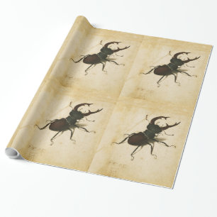 Albrecht Durer Stag Beetle Renaissance Vintage Art Wrapping Paper