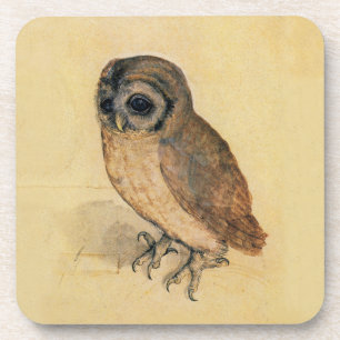 Albrecht Durer The Little Owl Coaster