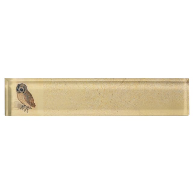 Albrecht Durer The Little Owl Nameplate (Front)