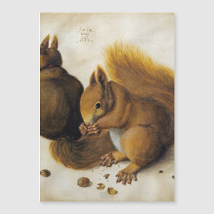 Albrecht Durer - Two Squirrels