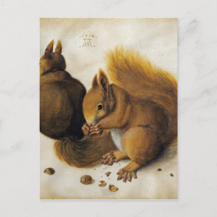 Albrecht Durer - Two Squirrels, One Eating A Hazel Postcard