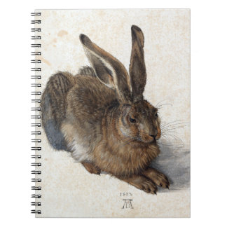 Albrecht Dürer, Young Hare, 1502 Notebook