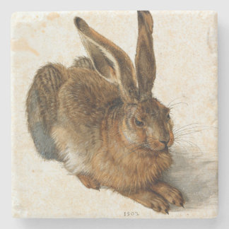ALBRECHT DÜRER - Young hare 1502 Stone Coaster