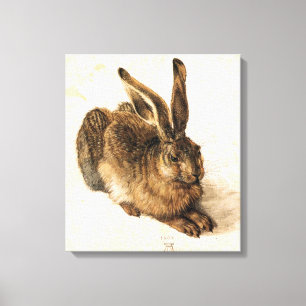 Albrecht Durer Young Hare Canvas Print