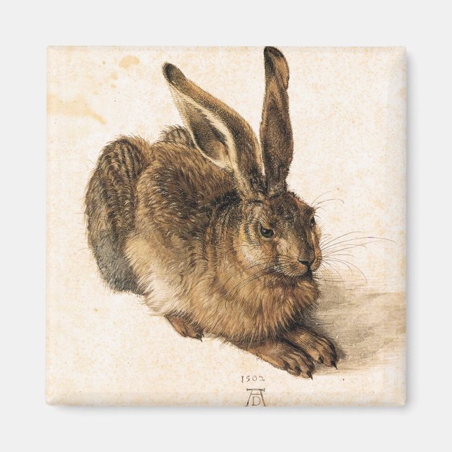 Albrecht Durer Young Hare Magnet (Front)